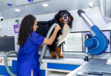 Franquia Au-All Pet Móvel aposta na comodidade