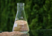 Biotecnologia e ações sustentáveis sinalizam futuro do setor de cosméticos no Brasil
