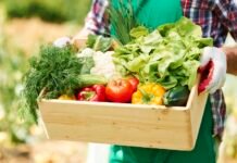 Bio Brazil Fair e Naturaltech apresentam as principais tendências dos universos orgânico e natural