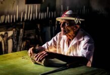 IV Festival Cine Inclusão promove reflexão sobre a maturidade