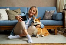 Feira Pet Brasil tem data marcada para outubro e está com inscrições abertas