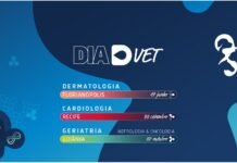 Evento traz inovações em especialidades médicas e gestão de negócios veterinários