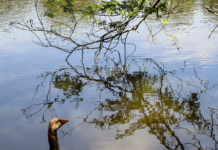 Canon reúne amantes da fotografia para mostrar a diversidade brasileira através das lentes