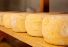 Seminário Técnico dos Queijos Artesanais de Minas discute melhorias e valoriza o produto no mercado