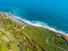 Experiências incríveis para quem visita a Ilha da Madeira pela primeira vez