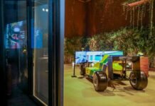 Instituto Ayrton Senna celebra 30 anos com festa exclusiva na Bisutti