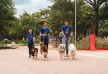 Expo Center Norte fortalece inclusão social com parceria inédita com o Instituto RedDogs