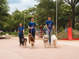 Expo Center Norte fortalece inclusão social com parceria inédita com o Instituto RedDogs