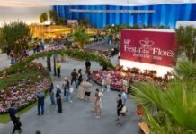 Joinville celebra setor de eventos aquecido e prevê crescimento em 2026