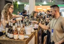 Mercado de vinhos cresce 9% no Brasil em 2025 e setor projeta desafios e oportunidades para 2026