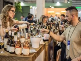 Mercado de vinhos cresce 9% no Brasil em 2025 e setor projeta desafios e oportunidades para 2026